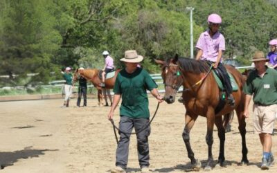 RDA Australia National Volunteer Awards